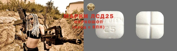альфа пвп Медвежьегорск
