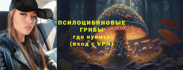 альфа пвп Медвежьегорск