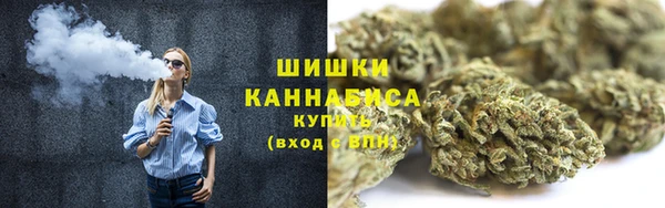 PSILOCYBIN Медногорск