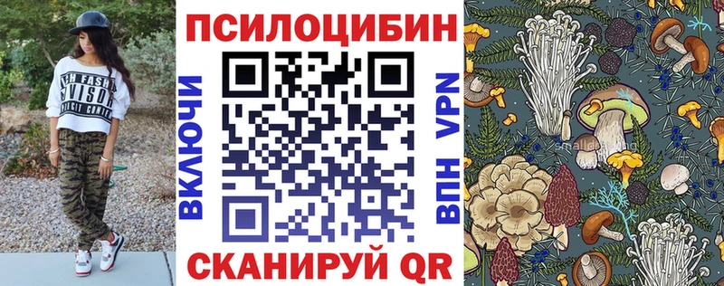 Псилоцибиновые грибы прущие грибы Купить закладки Оха